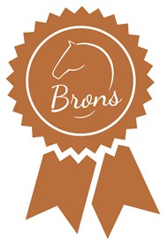 KNHS Opleiding - Brons